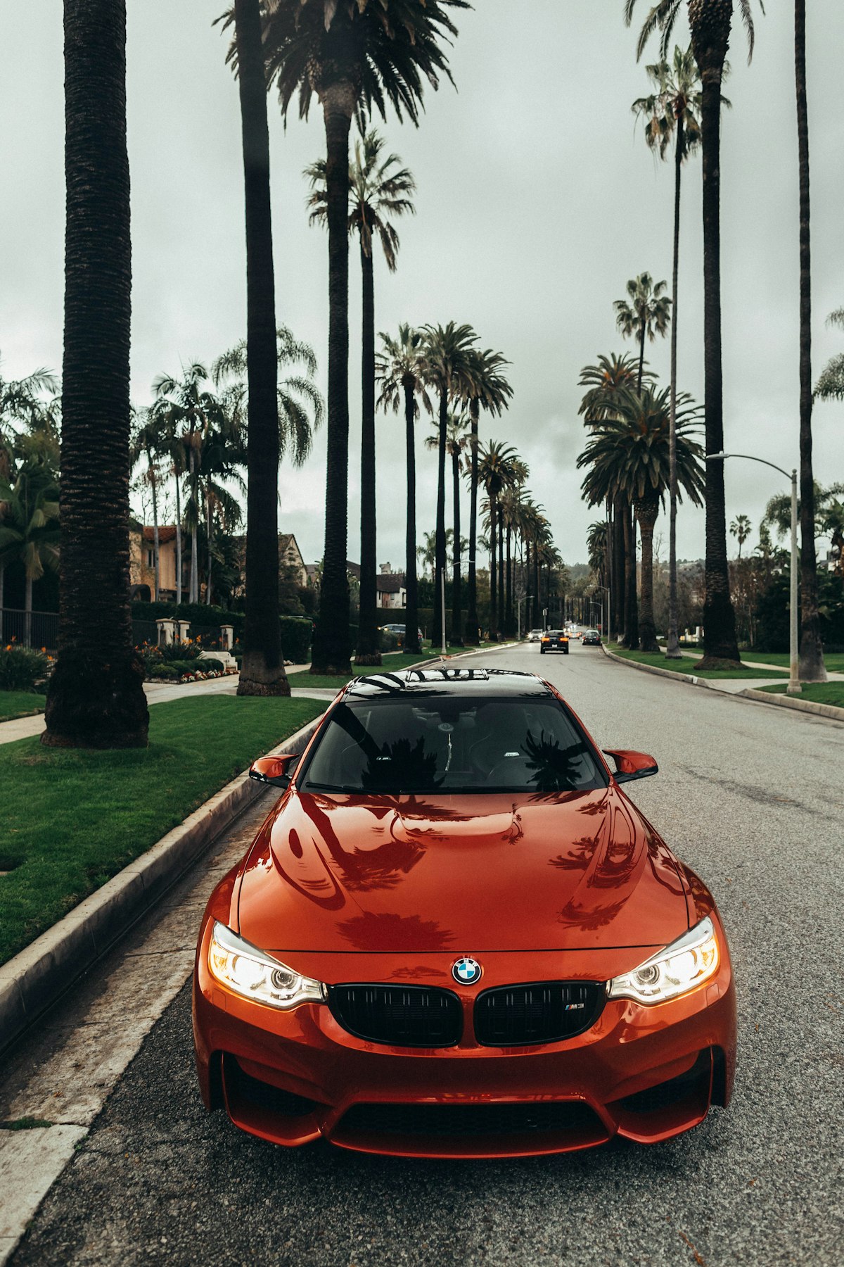 Hatchbacks